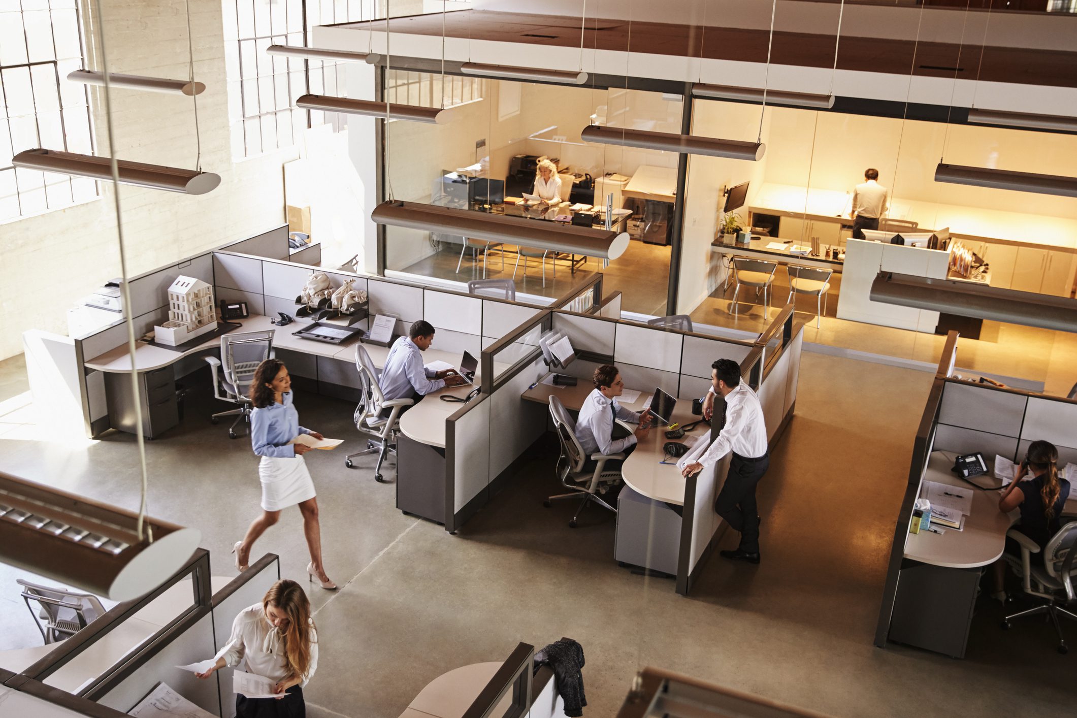 Employees working at office desks